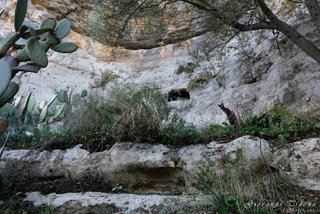 Cava Gria